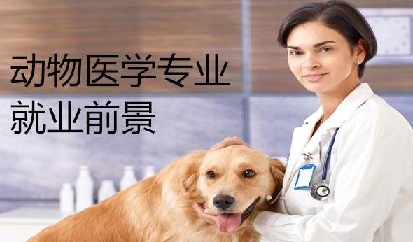 动物医学专业--吉林农业科技继续教育学院函授专升本