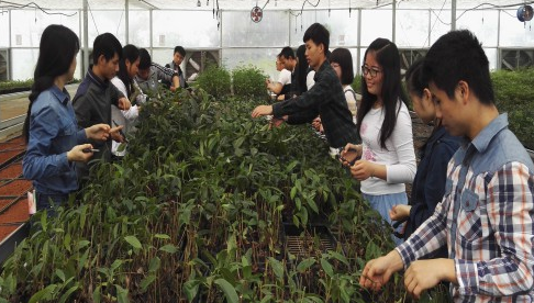 林业技术专业--成人高考北华大学