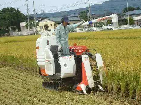 ũҵ��е�������Զ���רҵ--���˸߿�����ũҵ��ѧ