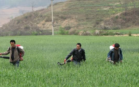 ֲ�ﱣ��רҵ--���˸߿�����ʡ���ù����ɲ�ѧԺ