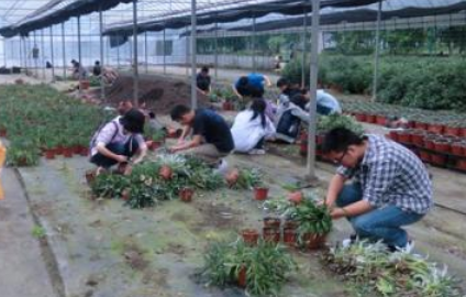 ԰�ռ���רҵ--�����������ְҵ����ѧԺ����ר����