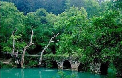 ����ũҵ��ѧ���ڴ�ר���˸߿�ɭ����Դ����������רҵ