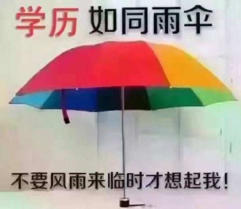 �����Կ������������� ��������վ���ĸ���