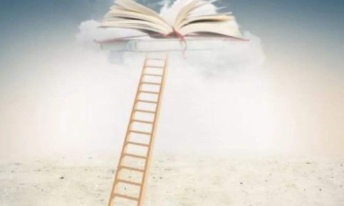 2020�곤����ѧ���Ա�����ѵ�࿿����