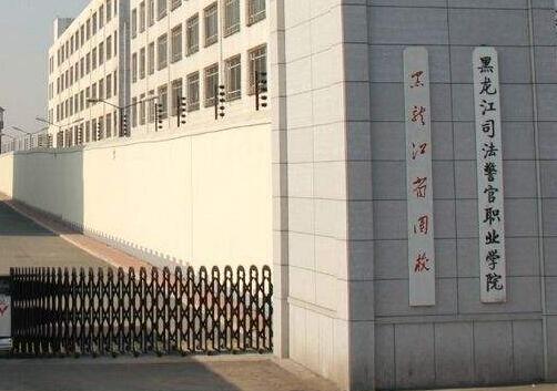 ������˾������ְҵѧԺ��������ѧԺ2020����������