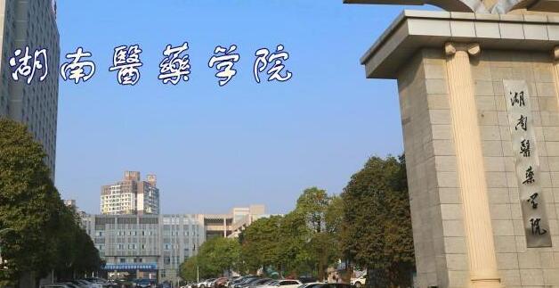 湖南医药学院继续教育学院---新生咨询入口