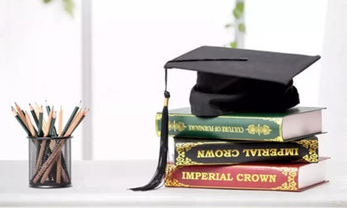 ������ҽ�ƴ�ѧ��������ѧԺ����ѯ��ڡ�