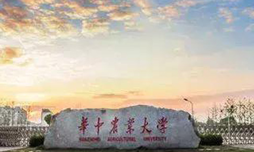 ����ũҵ��ѧ��������ѧԺ���˸߿���������ڡ�