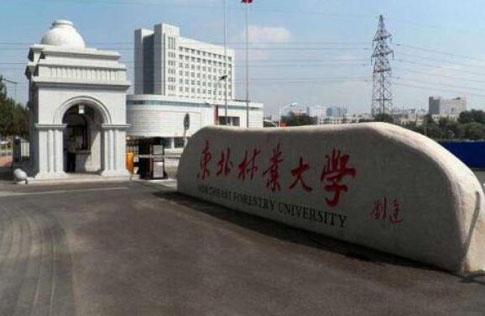 东北林业大学继续教育学院招生简章【含报名条件及时间】