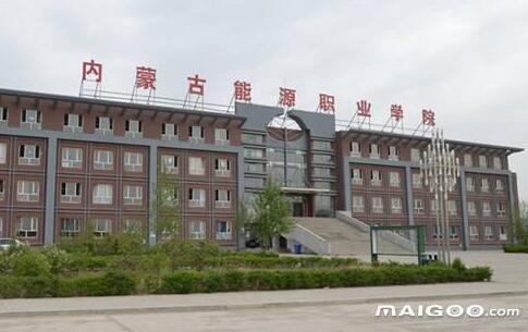 ���ɹ���ԴְҵѧԺ��������ѧԺ�����˸߿���ר�����ơ�