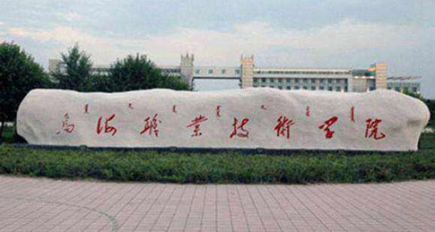 �ں�ְҵ����ѧԺ��������ѧԺ�����ڴ�ѧ������ƾ��