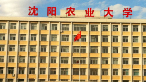 ����ũҵ��ѧ���˸߿����ϱ���ϵͳ�����¡�