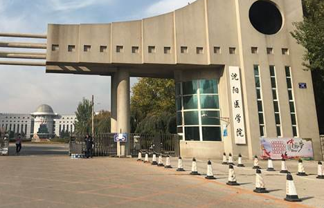 ����ҽѧԺ���˸߿����ڱ��Ʊ���2021��