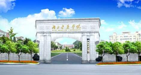 ����ҽҩѧԺ���˸߿����ڱ��Ʊ���2021��