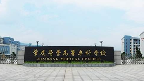 ����ҽѧ�ߵ�ר��ѧУ��������ѧԺ�����˸߿���ר�����ơ�