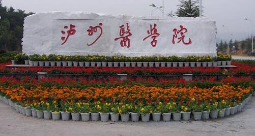 ����ҽ�ƴ�ѧ���˸߿�������ʽ����ɫͨ����