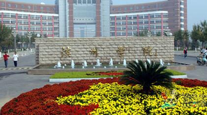 ����ѧԺ���˸߿����ڱ��Ʊ���2021��