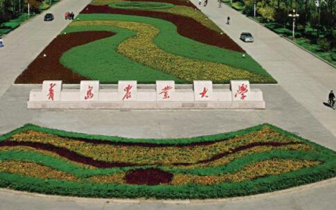 �ൺũҵ��ѧ���˸߿����ϱ���ϵͳ�����¡�