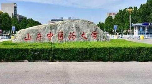 山东中医药大学成人高考函授本科报名2021年