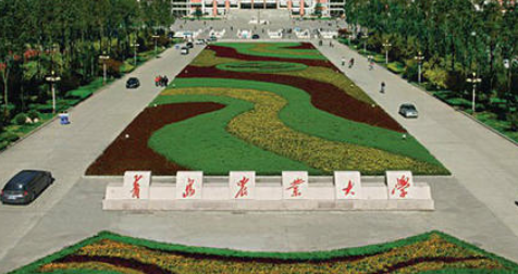 �ൺũҵ��ѧ��������ѧԺ�������¡�������������ʱ�䡿 