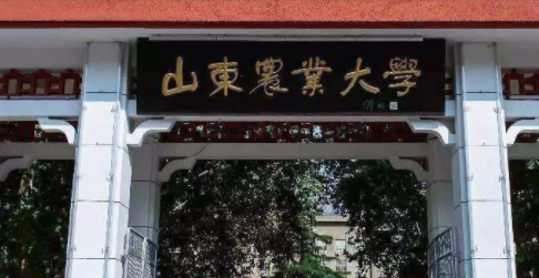 ɽ��ũҵ��ѧ��������ѧԺ�����˸߿���ר�����ơ�