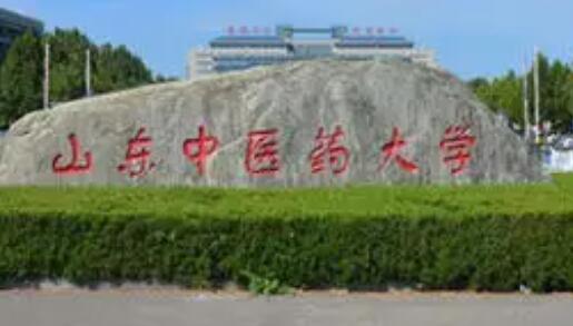 ɽ����ҽҩ��ѧ��������ѧԺ �����˼���ѧԺ Զ�̽�����