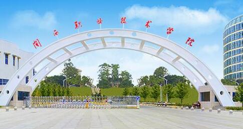 2021������ְҵ����ѧԺ���˸߿��������桾��רҵ��