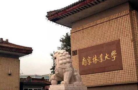 �Ͼ���ҵ��ѧ��������ѧԺ�����˸߿����Ʊ���������  