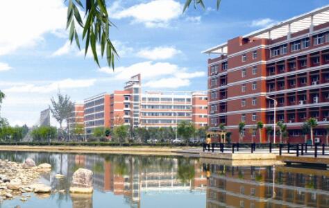 ����ѧԺ���˸߿����ڱ��Ʊ���2021��