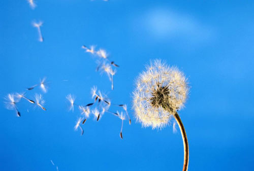 �����Կ���������